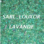 ENCENS LAVANDE (Création Louxor) A faire brûler La lavande nettoie le corps éthérique, apaise le sommeil, dilue les angoisses, et restructure profondément le psychisme