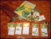 PATIONNEMENT / LE CHEMIN rune +jeu+livre